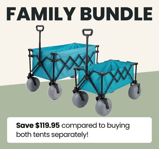 1 Small-Sized + 1 Large-Sized SandGlide Wagon (Family Bundle)